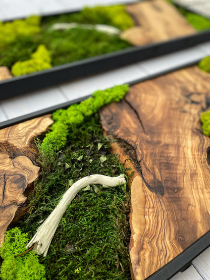 Moss Wall Decor, Moss Wall Art, Wood & Preserved Moss