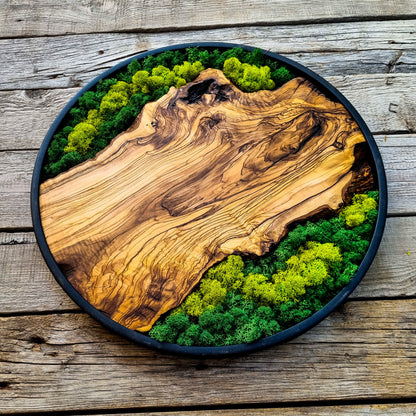 Custom Made Moss & Wood Wall Art, Metal Frame Wall Decor, Round Wall Decor