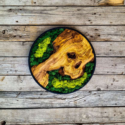 Custom Made Moss & Wood Wall Art, Metal Frame Wall Decor, Round Wall Decor
