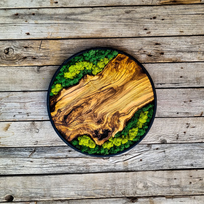 Custom Made Moss & Wood Wall Art, Metal Frame Wall Decor, Round Wall Decor