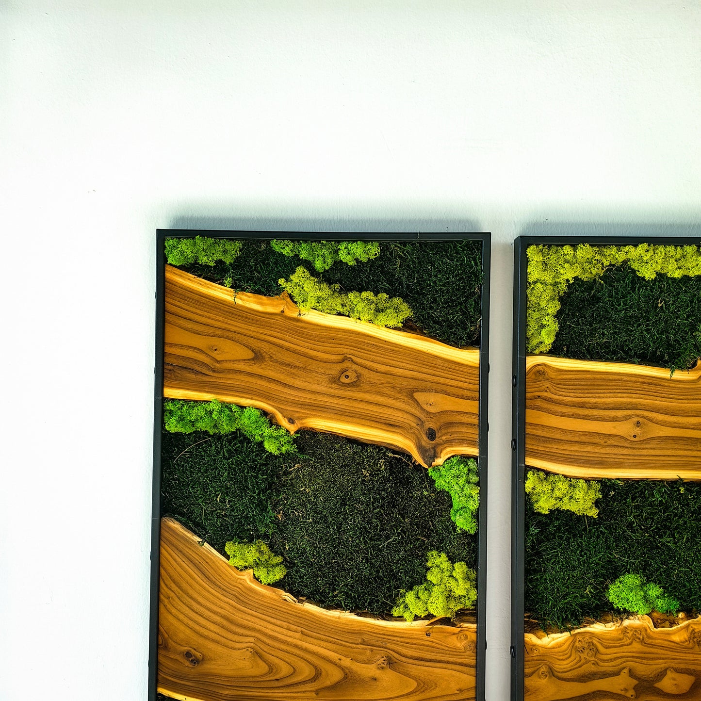 Moss Wall Decor, Moss Wall Art, Silverberry Wood & Preserved Moss