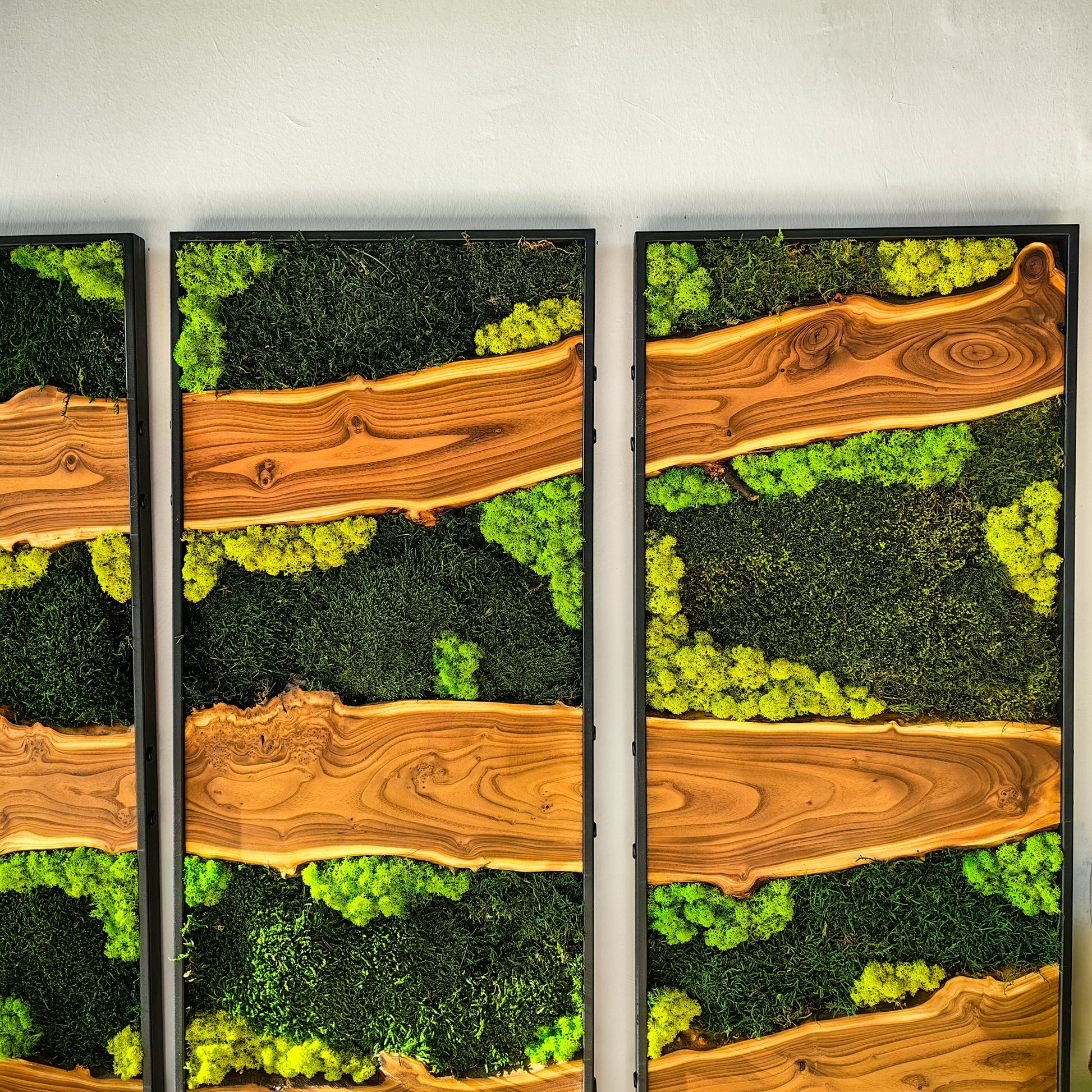 Moss Wall Decor, Moss Wall Art, Silverberry Wood & Preserved Moss