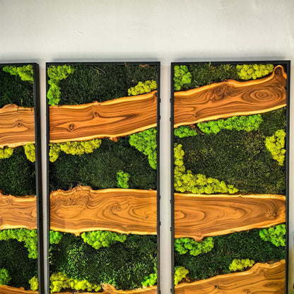 Moss Wall Decor, Moss Wall Art, Silverberry Wood & Preserved Moss