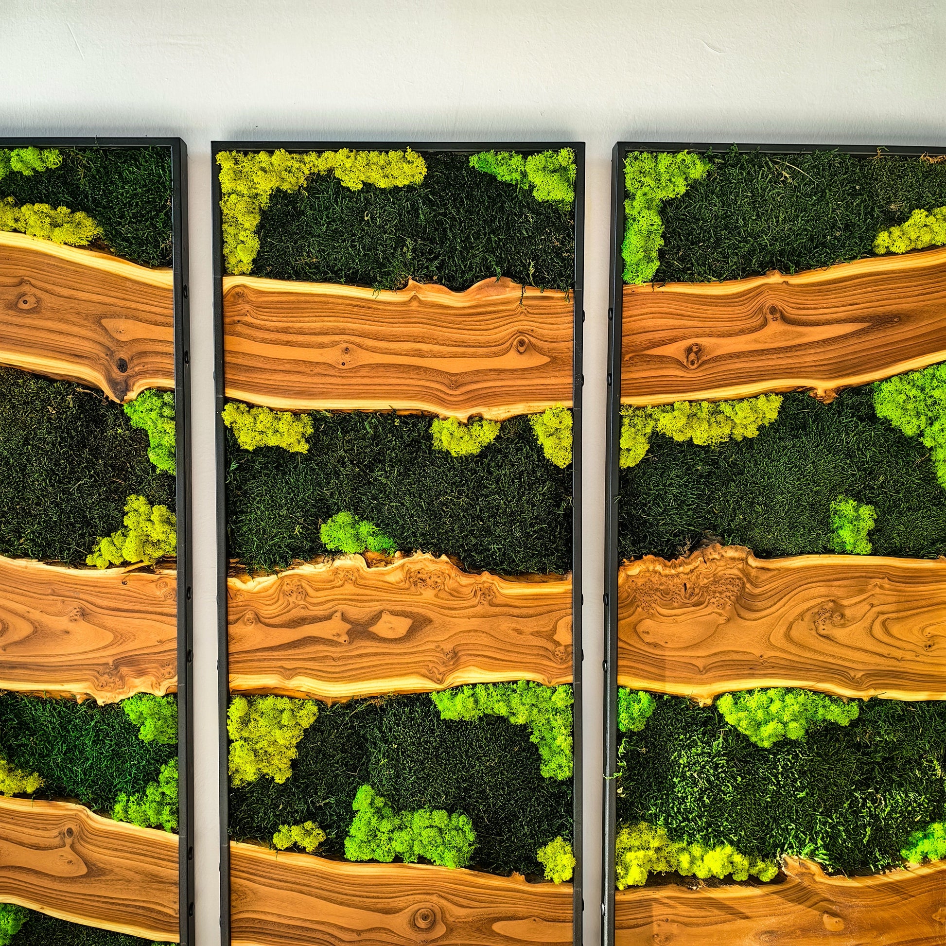 Moss Wall Decor, Moss Wall Art, Silverberry Wood & Preserved Moss