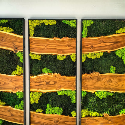 Moss Wall Decor, Moss Wall Art, Silverberry Wood & Preserved Moss
