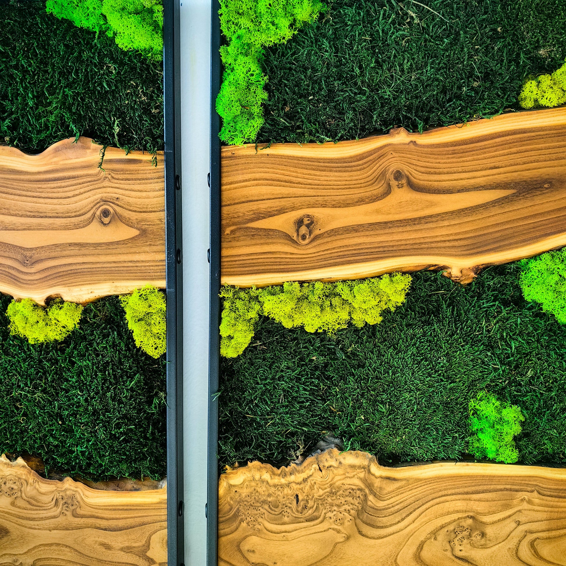 Moss Wall Decor, Moss Wall Art, Silverberry Wood & Preserved Moss
