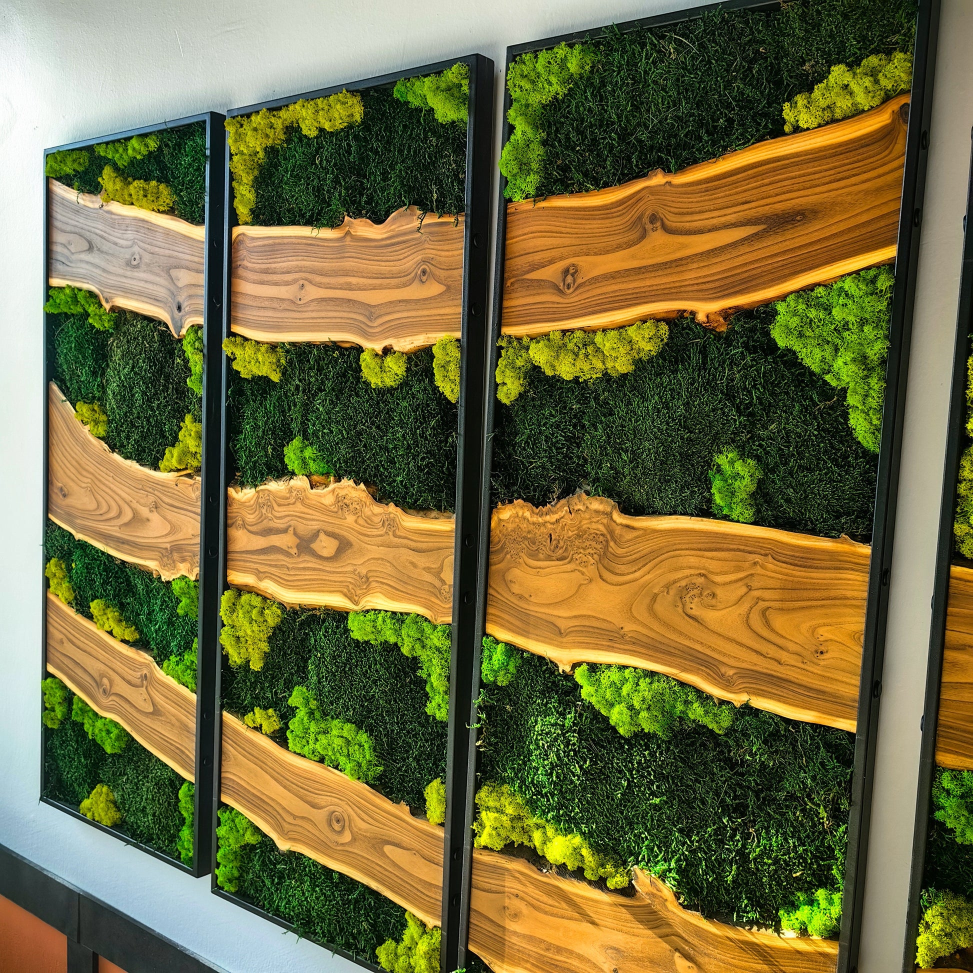 Moss Wall Decor, Moss Wall Art, Silverberry Wood & Preserved Moss
