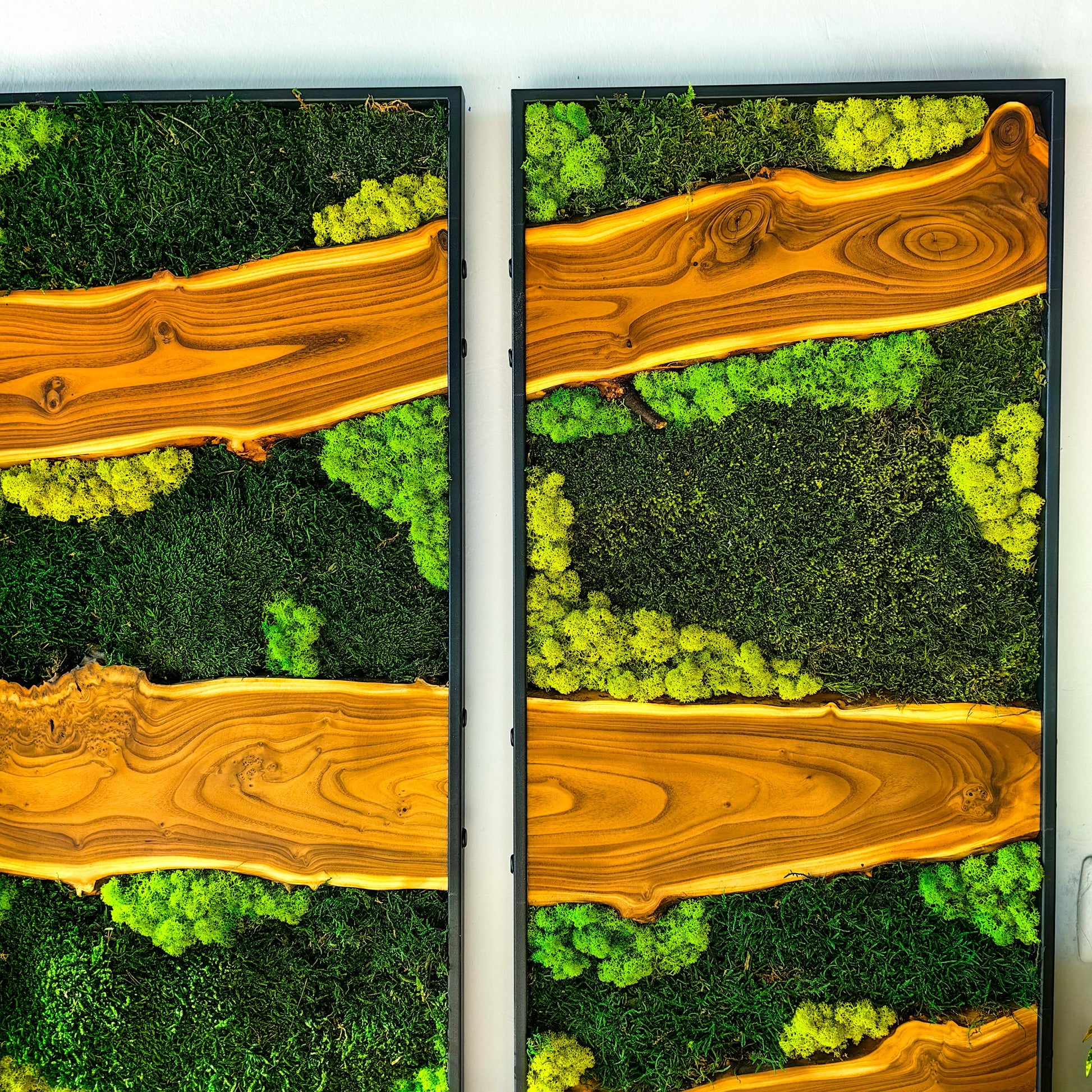 Moss Wall Decor, Moss Wall Art, Silverberry Wood & Preserved Moss