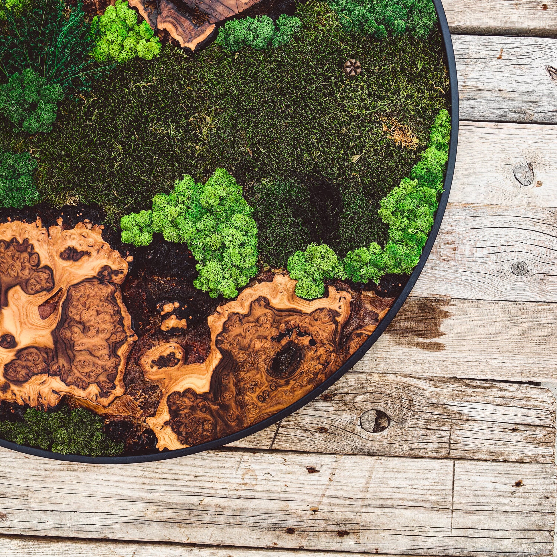 Moss Wall Decor - Custom Made Moss Wood Wall Art - Preserved Moss Wall Decor