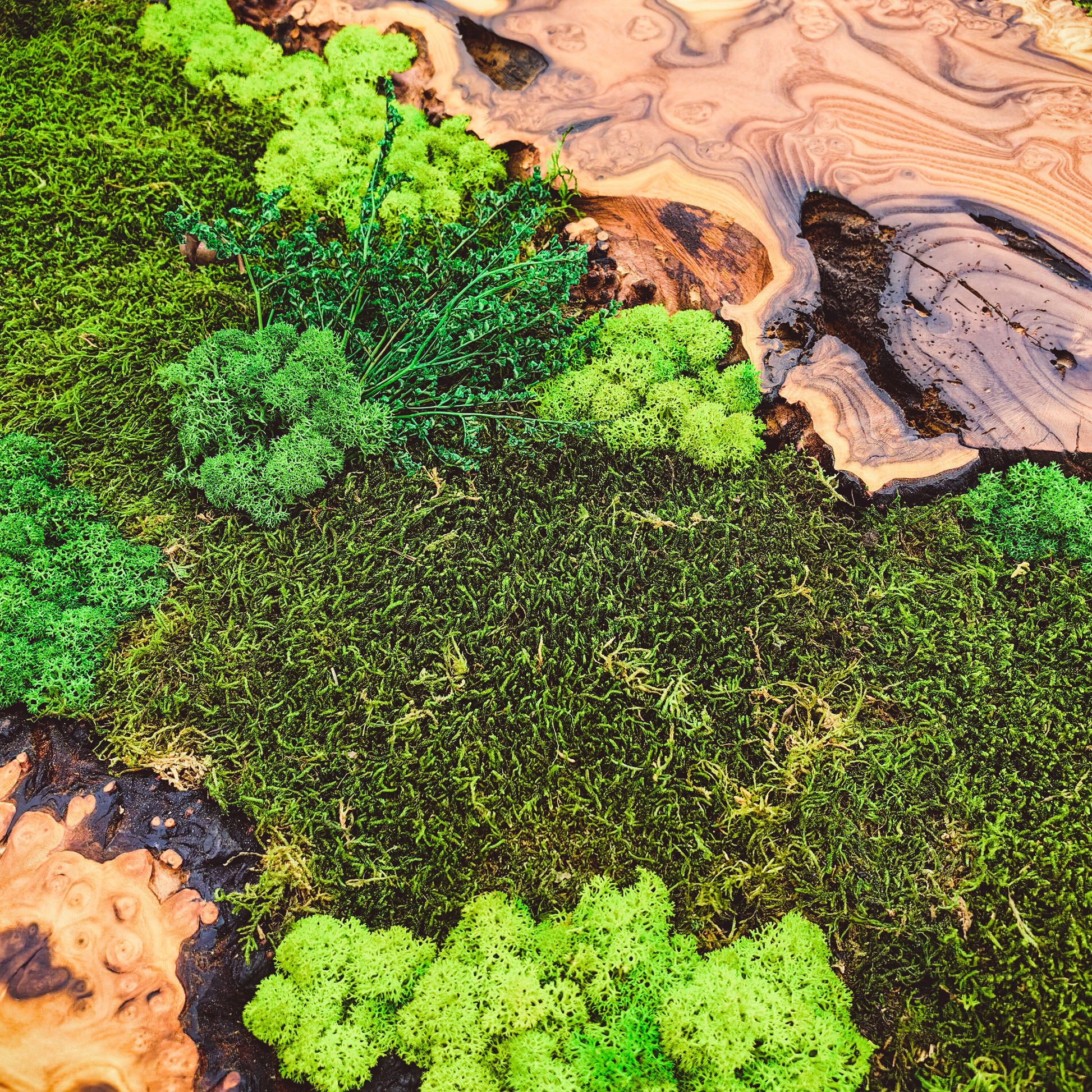 Moss Wall Decor - Custom Made Moss Wood Wall Art - Preserved Moss Wall Decor