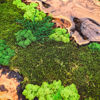 Moss Wall Decor - Custom Made Moss Wood Wall Art - Preserved Moss Wall Decor