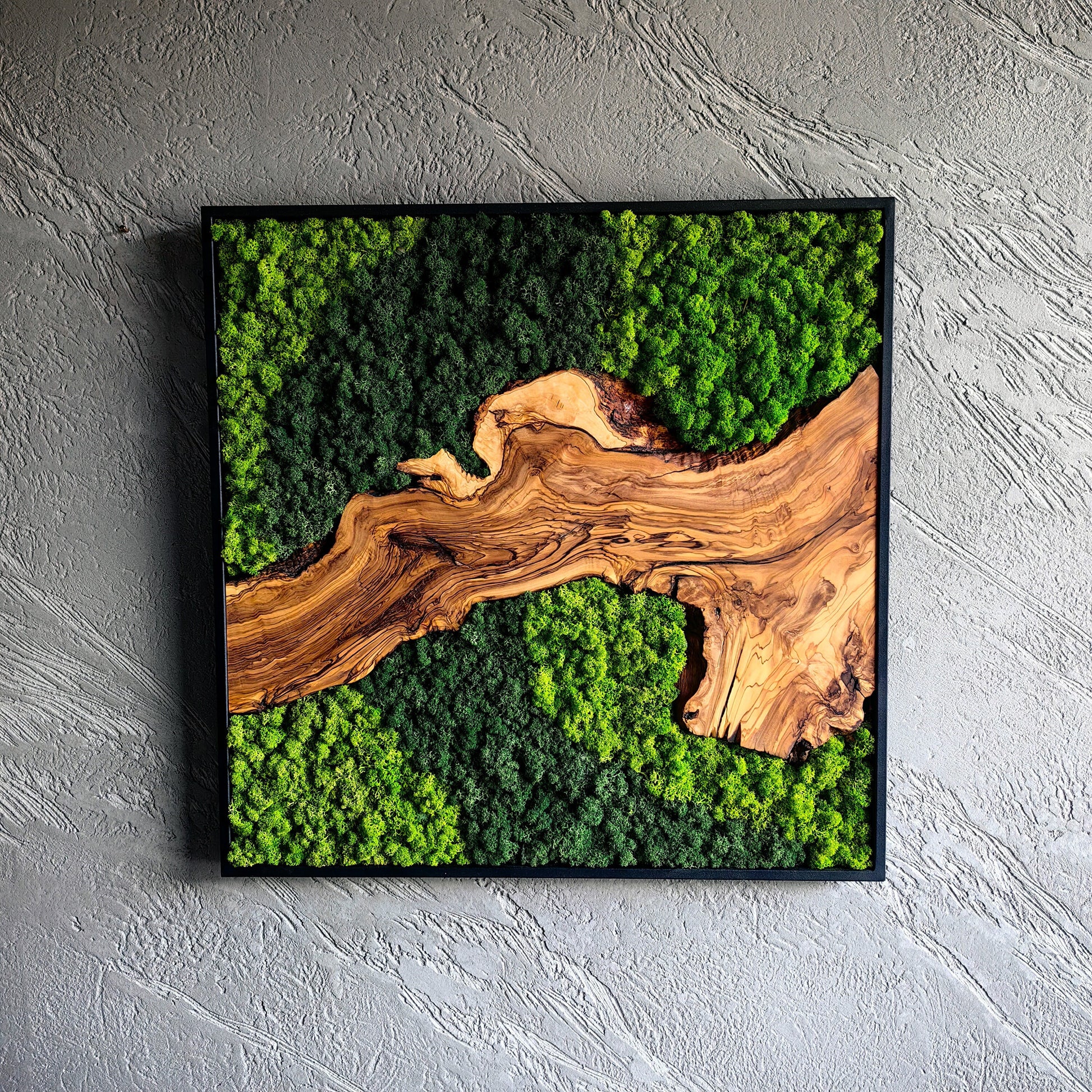 Moss and Olive Wood Wall Decor, Moss Wall Art
