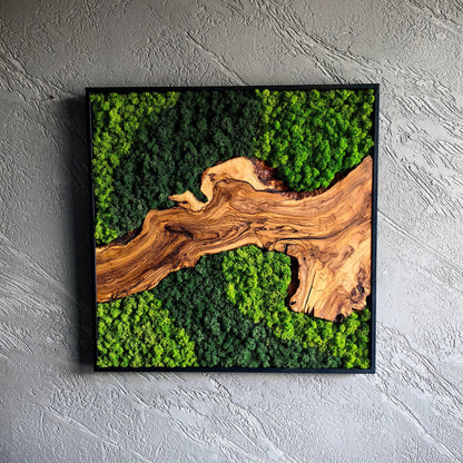 Moss and Olive Wood Wall Decor, Moss Wall Art