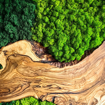 Moss and Olive Wood Wall Decor, Moss Wall Art