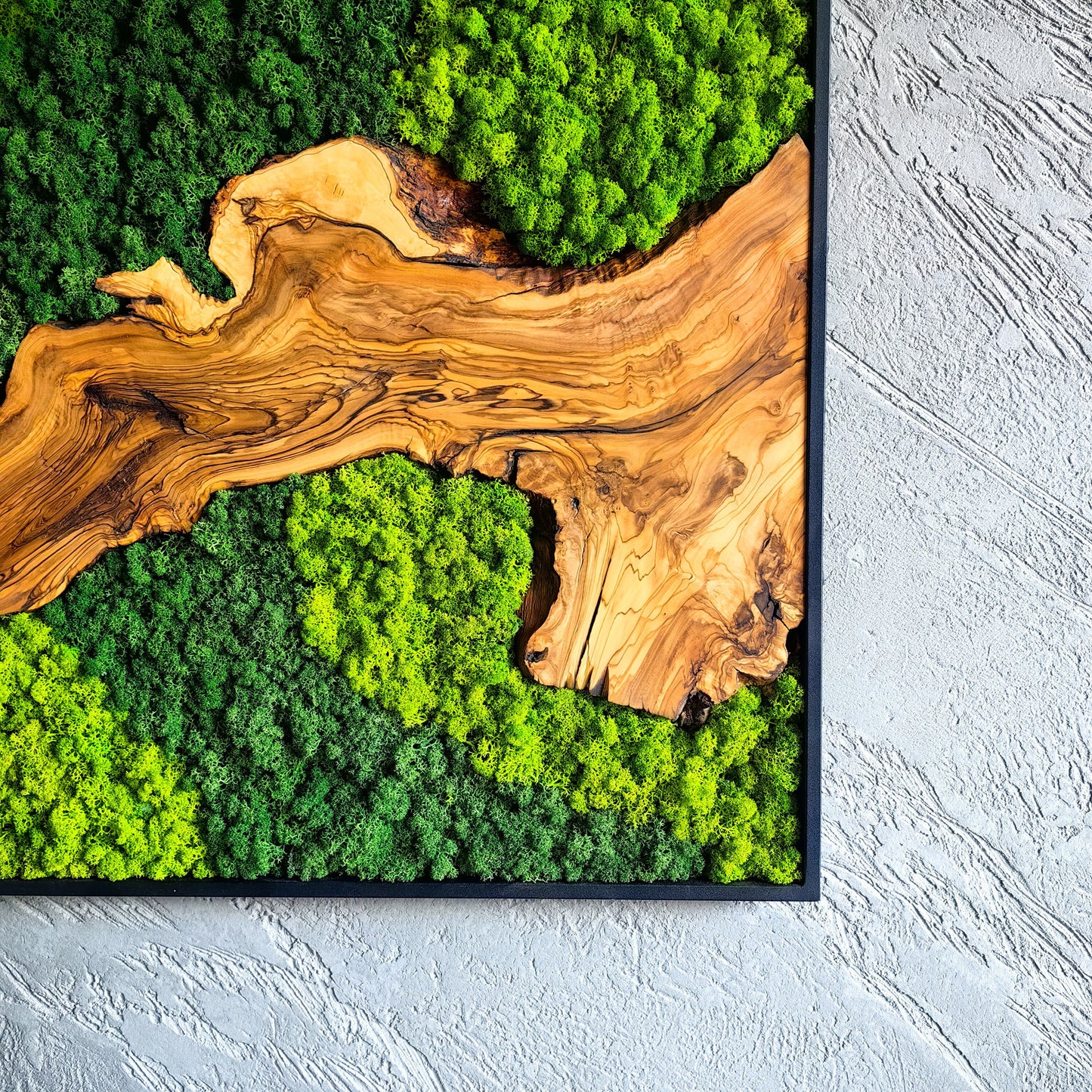 Moss and Olive Wood Wall Decor, Moss Wall Art