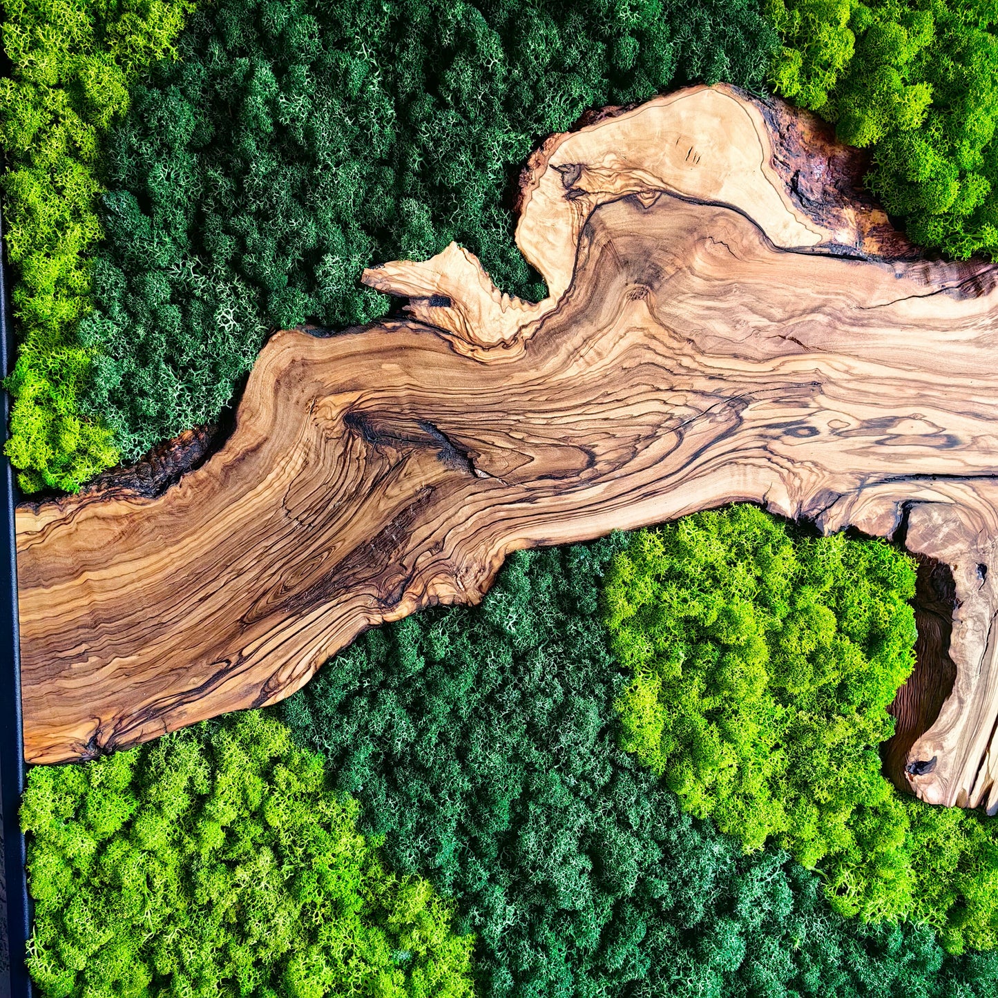 Moss and Olive Wood Wall Decor, Moss Wall Art
