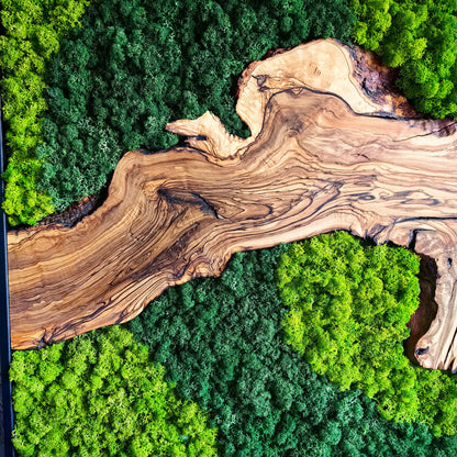 Moss and Olive Wood Wall Decor, Moss Wall Art