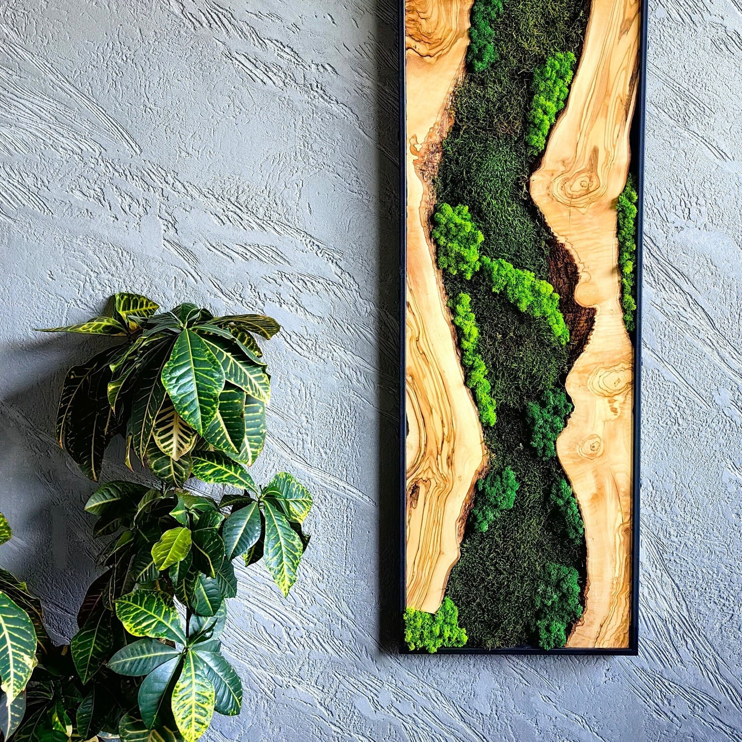 Moss Wall Decor - Olive Wood & Preserved Moss Wall Art, Bespoke Wall Hanging
