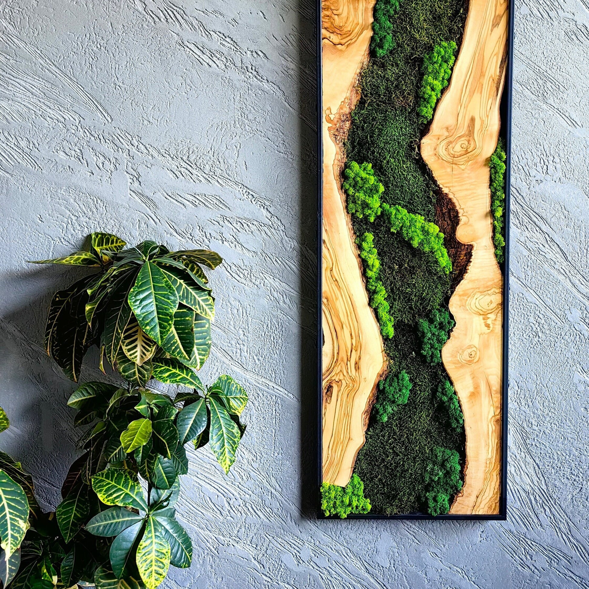 Moss Wall Decor - Olive Wood & Preserved Moss Wall Art, Bespoke Wall Hanging