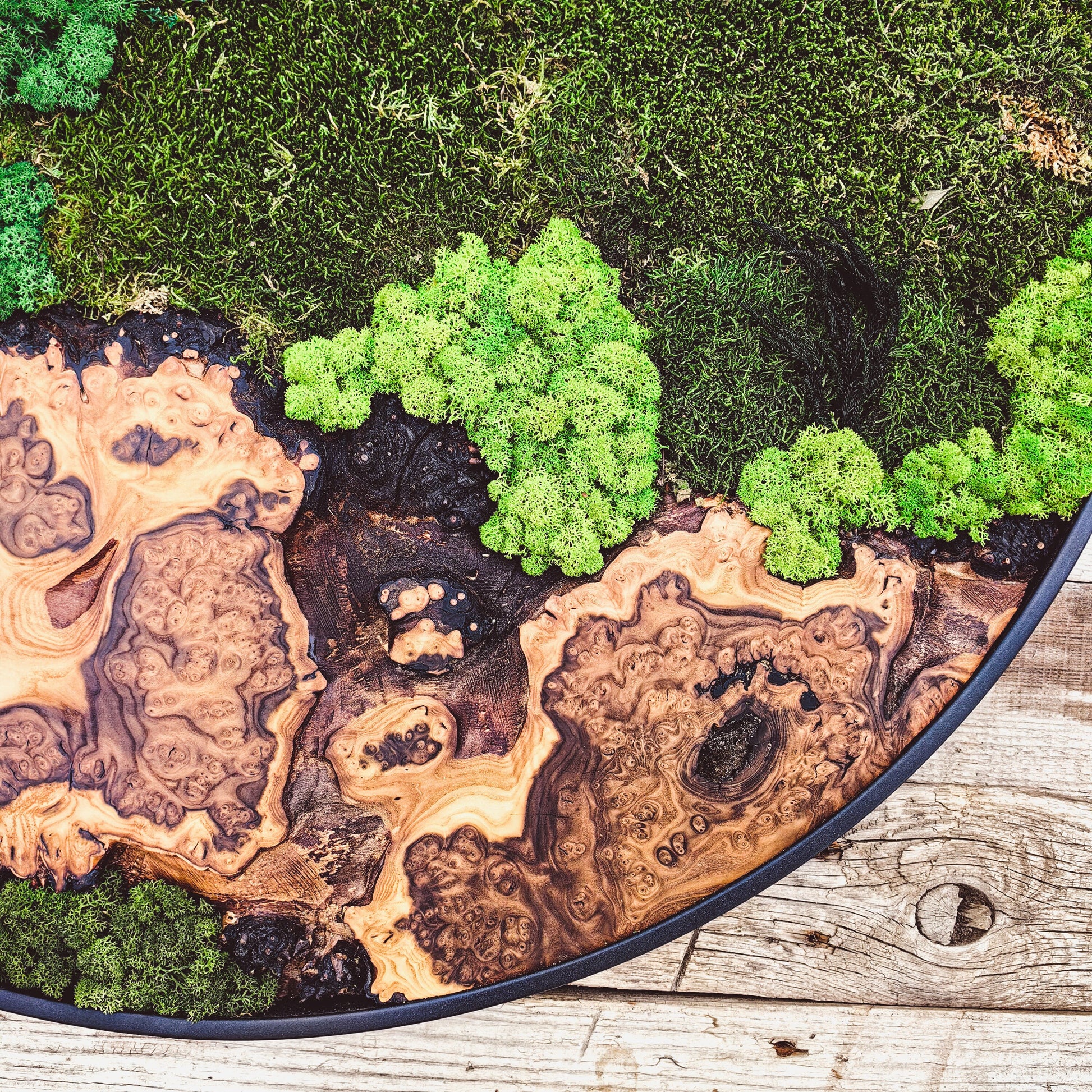 Moss Wall Decor - Custom Made Moss Wood Wall Art - Preserved Moss Wall Decor