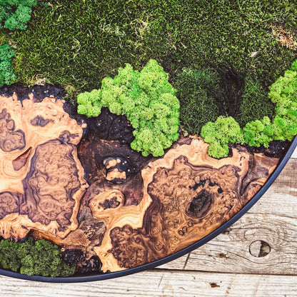 Moss Wall Decor - Custom Made Moss Wood Wall Art - Preserved Moss Wall Decor