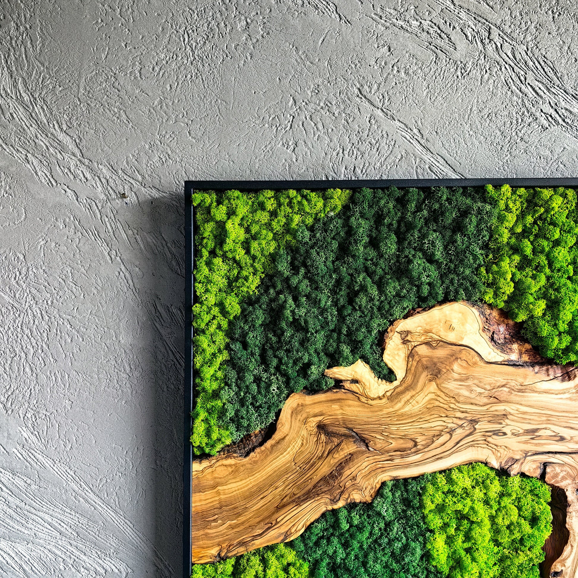 Moss and Olive Wood Wall Decor, Moss Wall Art