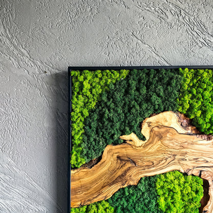 Moss and Olive Wood Wall Decor, Moss Wall Art