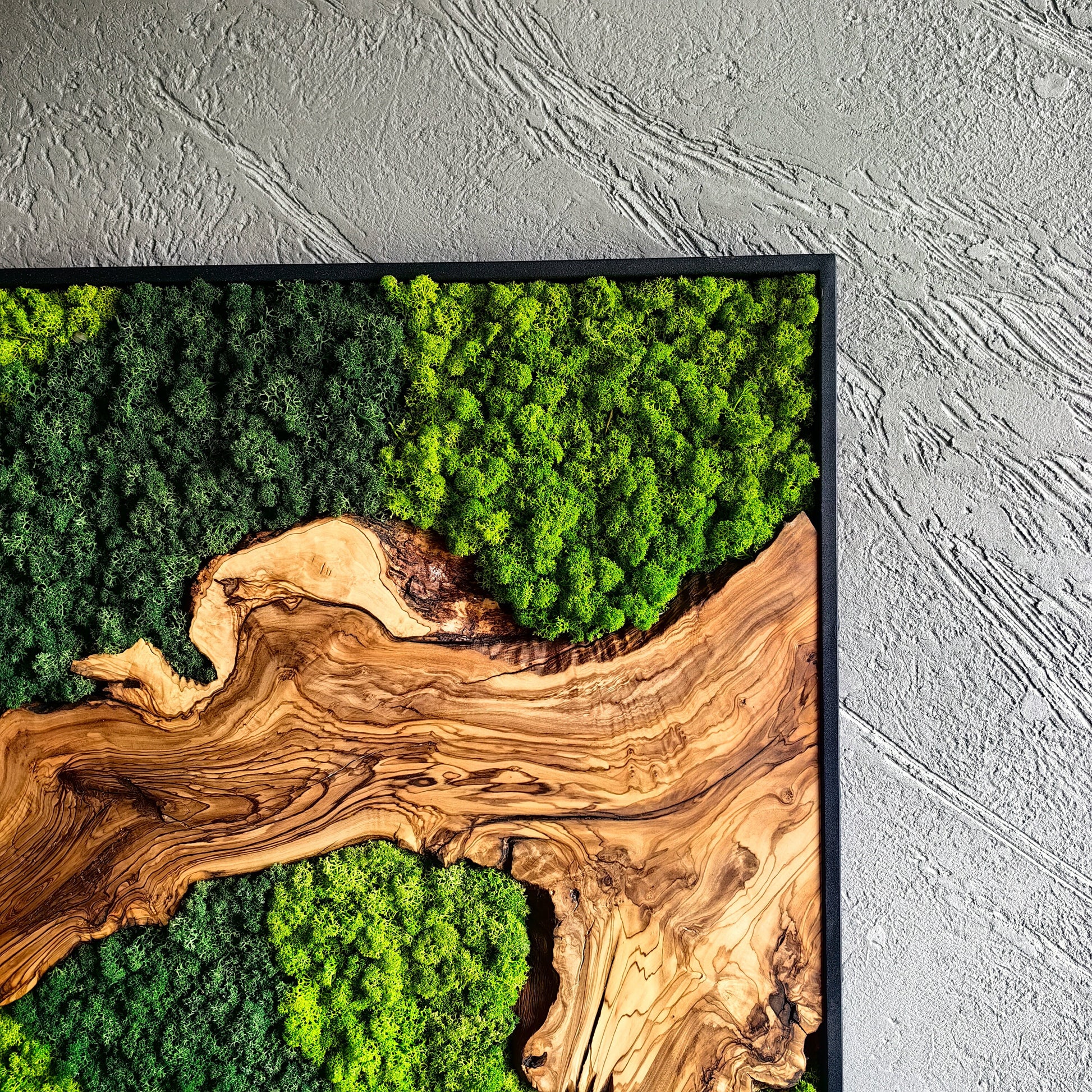 Moss and Olive Wood Wall Decor, Moss Wall Art