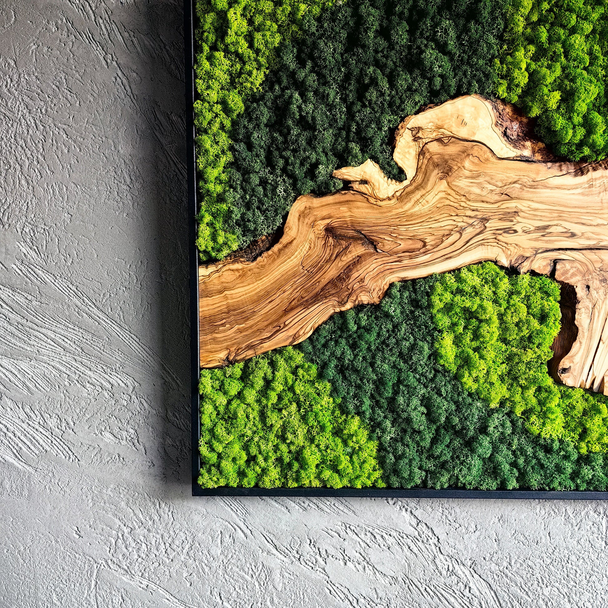 Moss and Olive Wood Wall Decor, Moss Wall Art