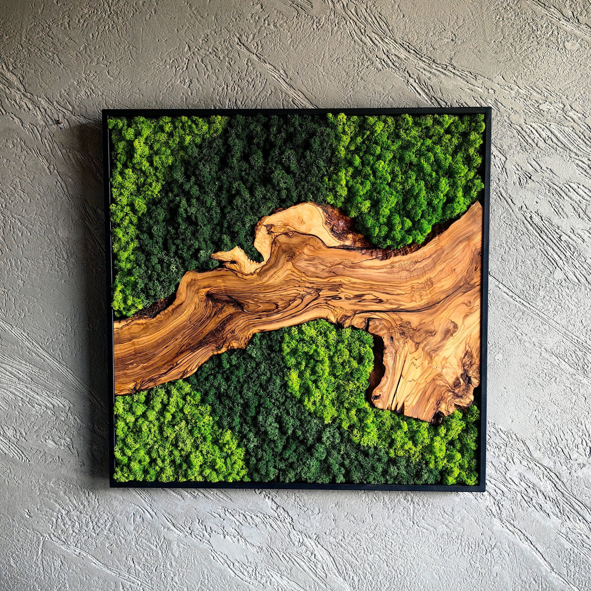 Moss and Olive Wood Wall Decor, Moss Wall Art