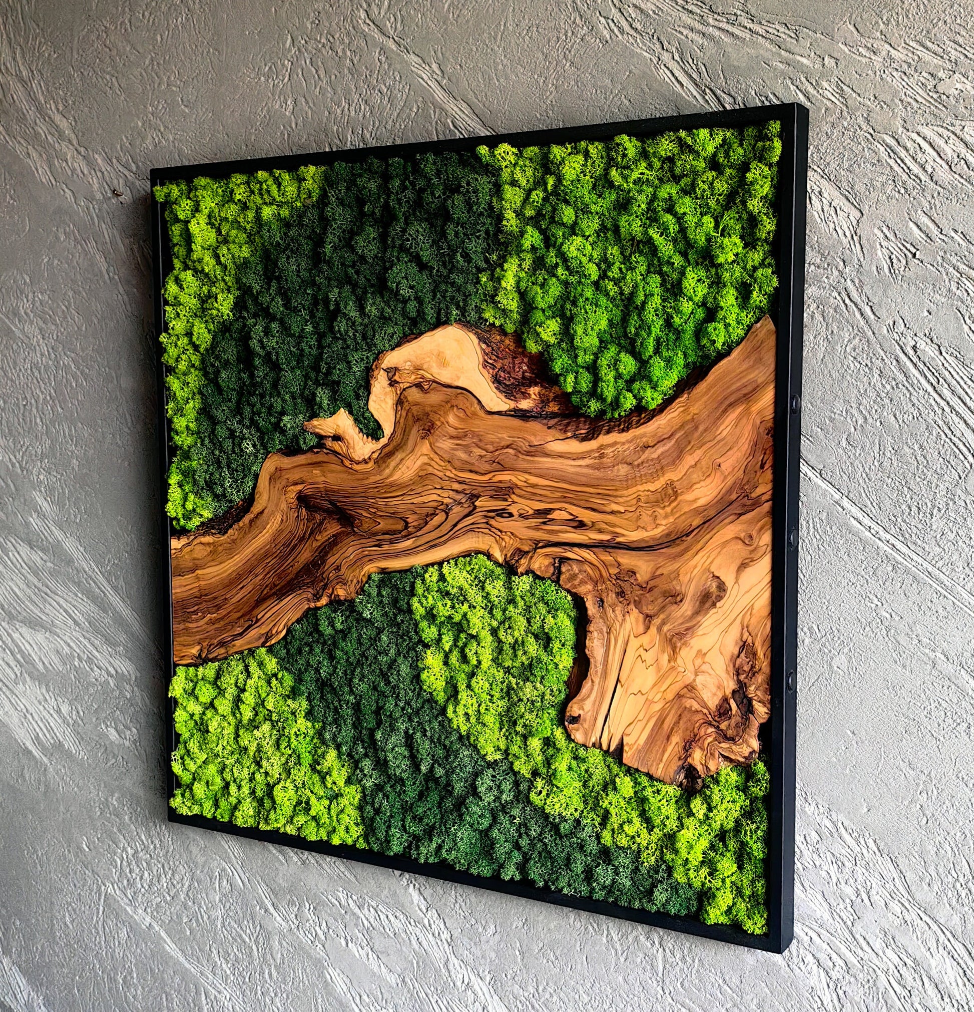 Moss and Olive Wood Wall Decor, Moss Wall Art