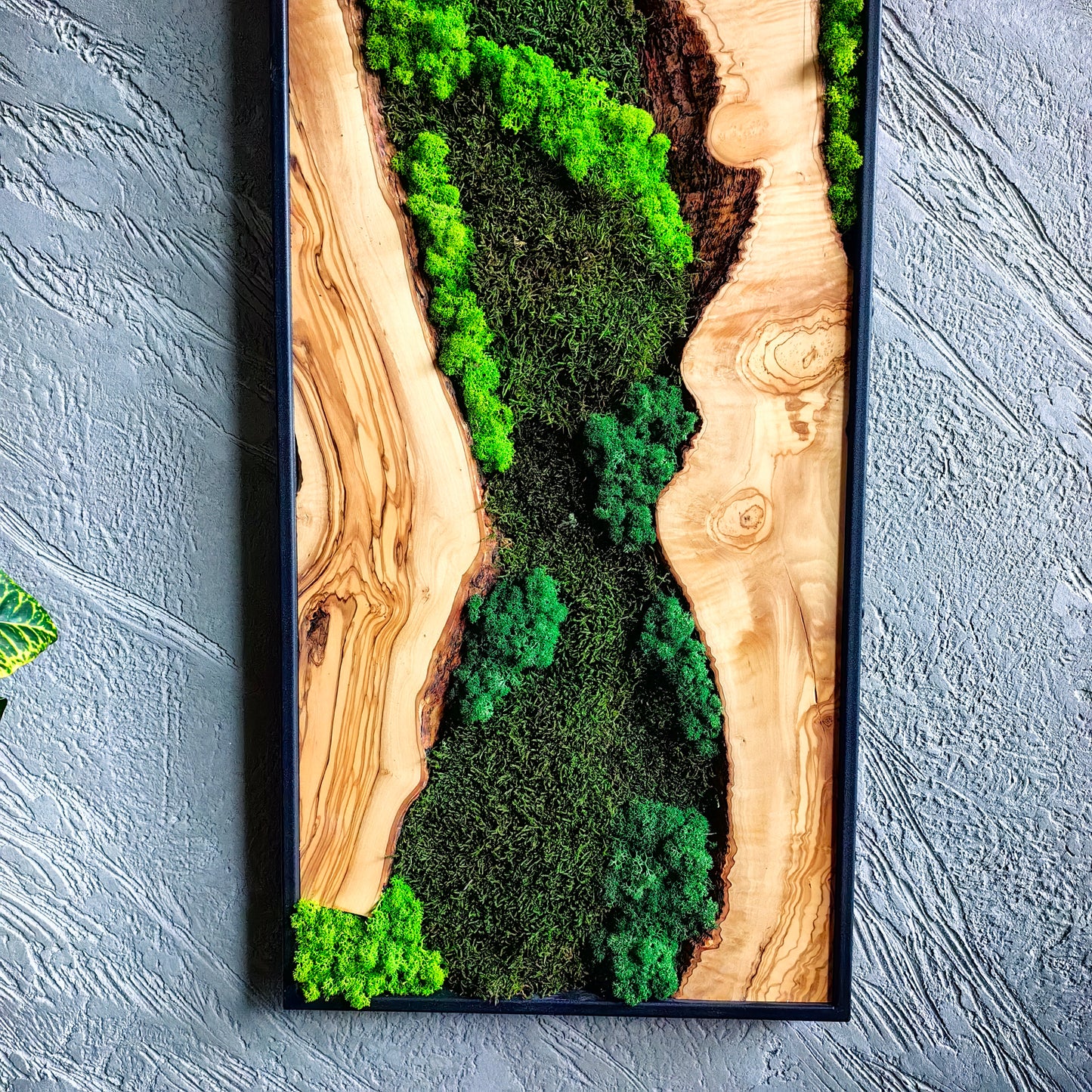 Moss Wall Decor - Olive Wood & Preserved Moss Wall Art, Bespoke Wall Hanging