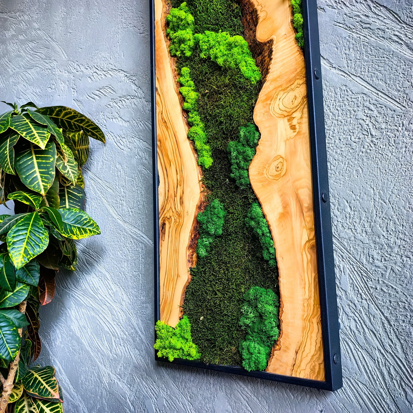 Moss Wall Decor - Olive Wood & Preserved Moss Wall Art, Bespoke Wall Hanging