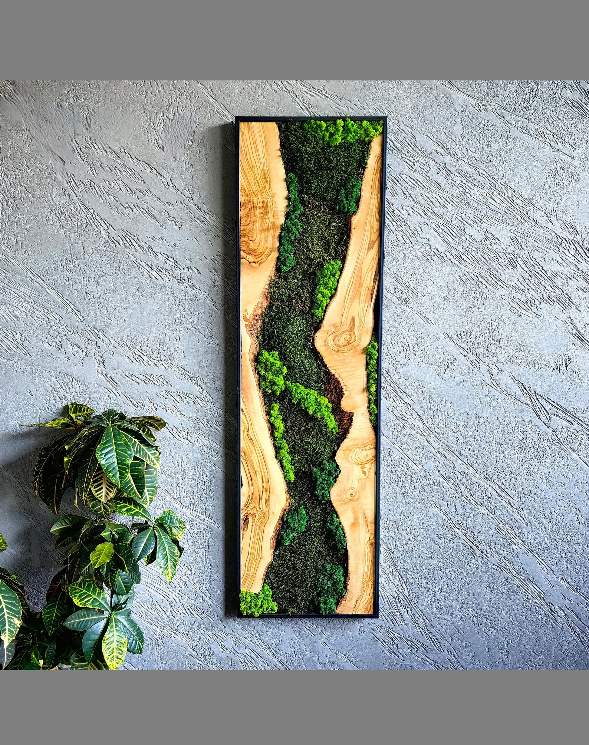 Moss Wall Decor - Olive Wood & Preserved Moss Wall Art, Bespoke Wall Hanging