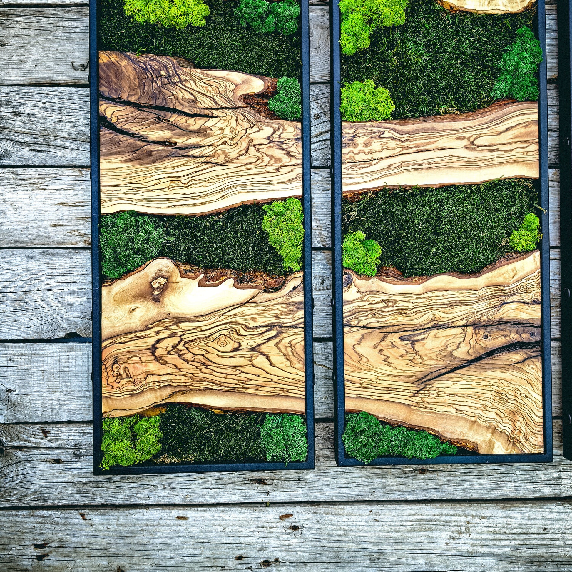 Moss Wall Decor, Moss Art Wall Decor, Olive Wood and Moss Wall Art