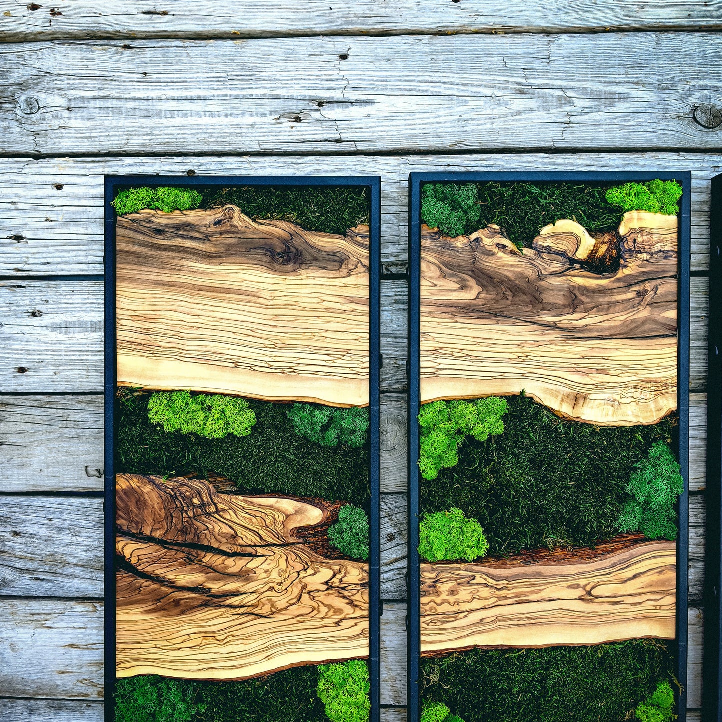 Moss Wall Decor, Moss Art Wall Decor, Olive Wood and Moss Wall Art