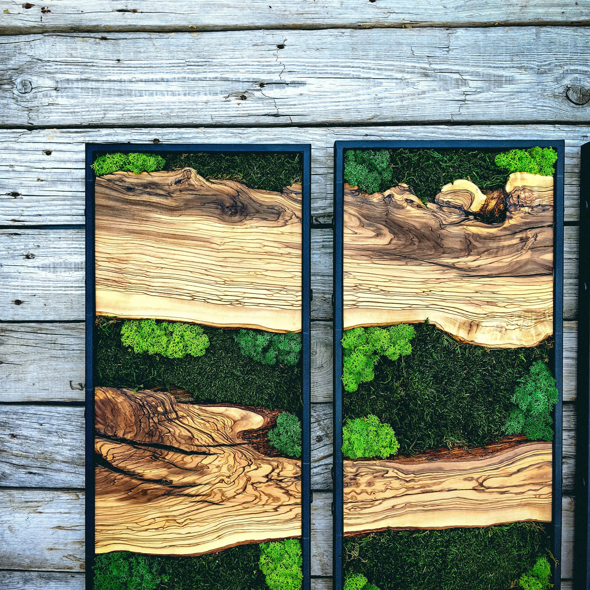 Moss Wall Decor, Moss Art Wall Decor, Olive Wood and Moss Wall Art