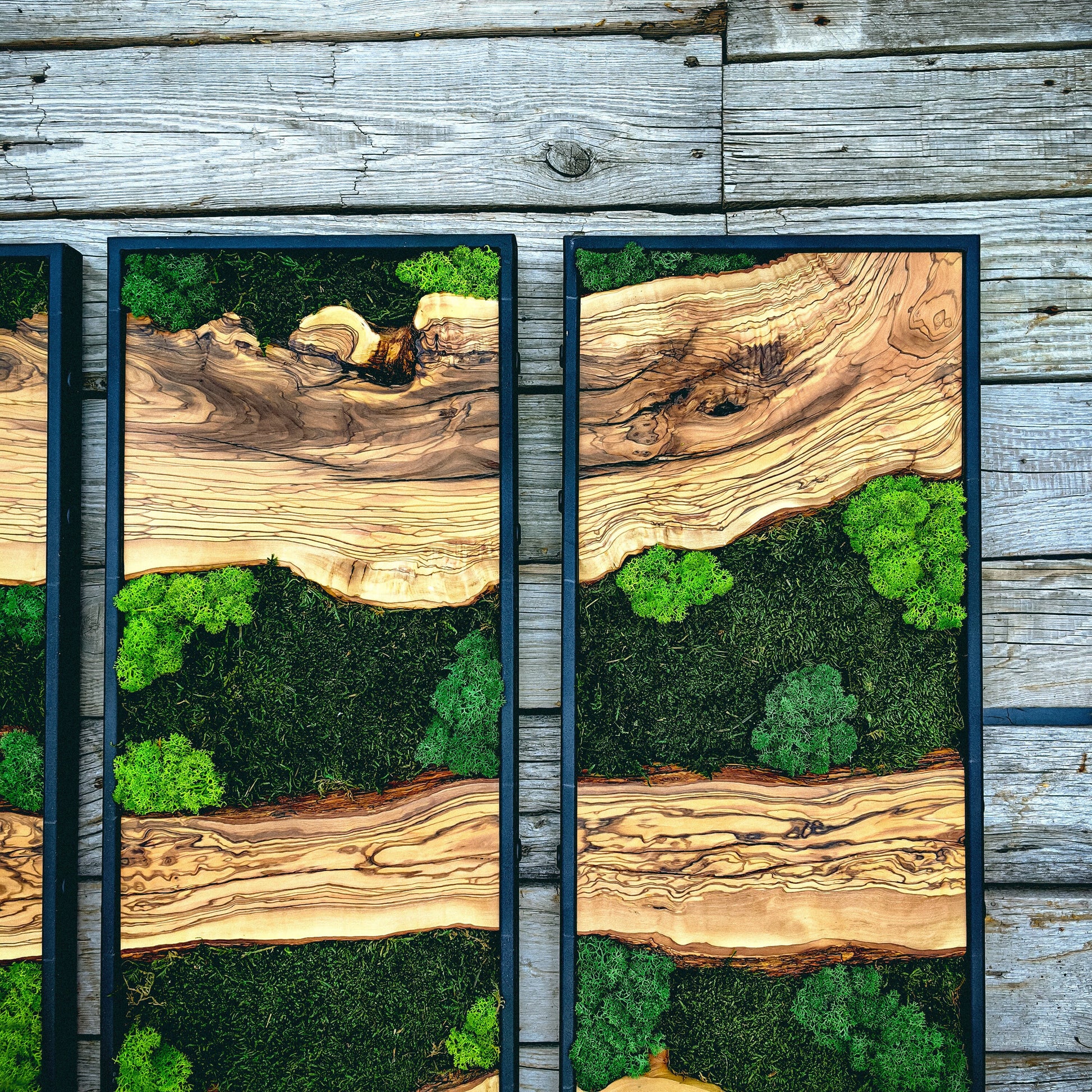 Moss Wall Decor, Moss Art Wall Decor, Olive Wood and Moss Wall Art