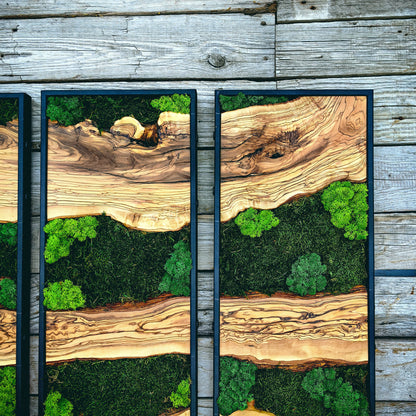 Moss Wall Decor, Moss Art Wall Decor, Olive Wood and Moss Wall Art