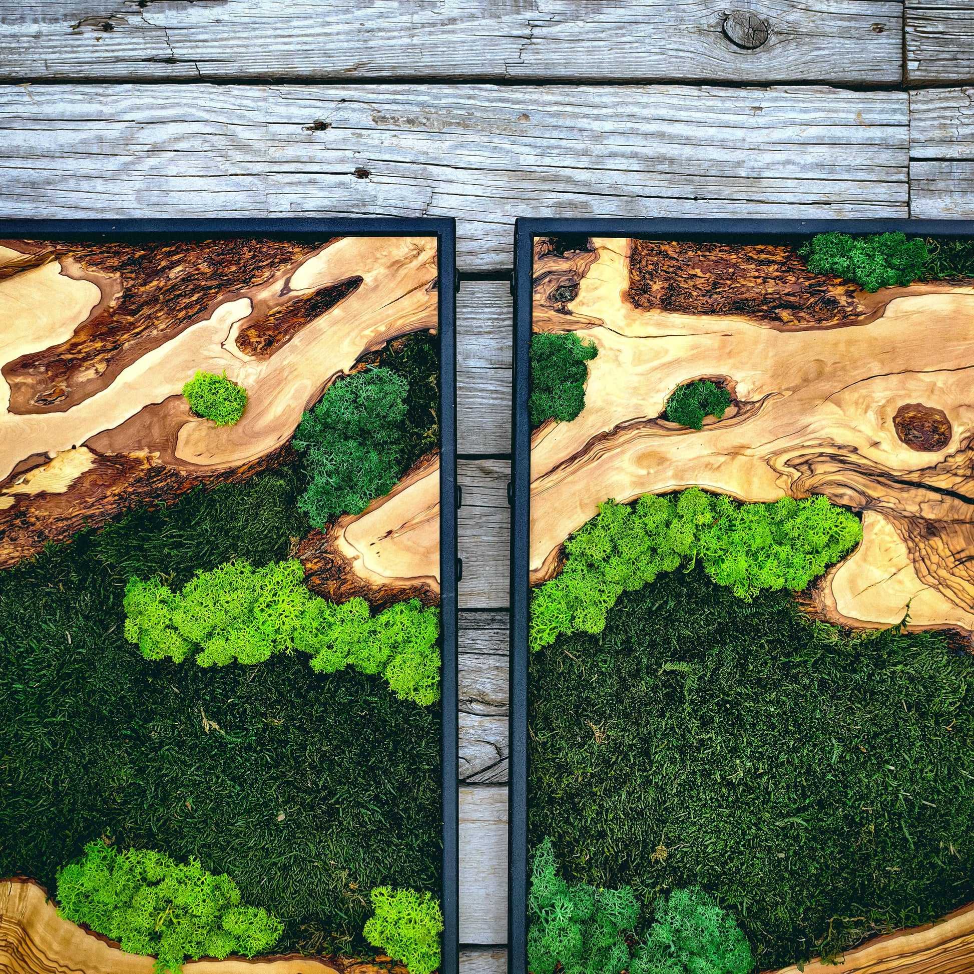 Moss Wall Art - Wood & Moss Wall Decor