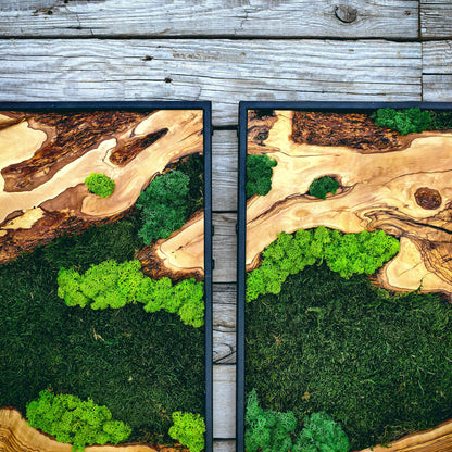Moss Wall Art - Wood & Moss Wall Decor