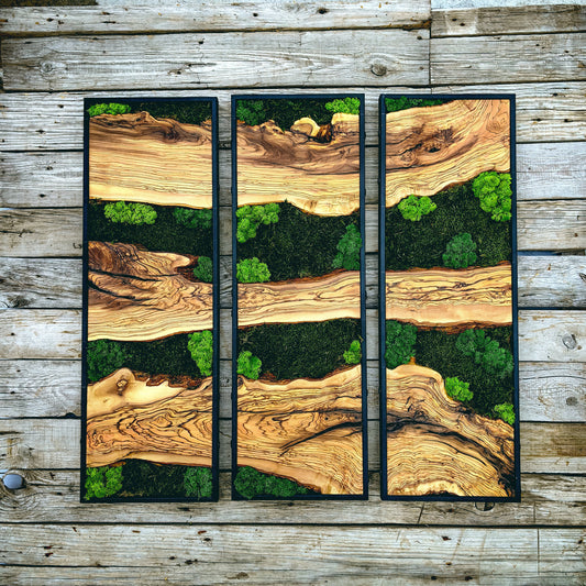 Moss Wall Decor, Moss Art Wall Decor, Olive Wood and Moss Wall Art
