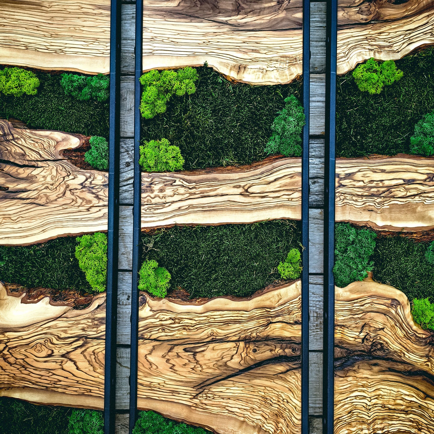 Moss Wall Decor, Moss Art Wall Decor, Olive Wood and Moss Wall Art