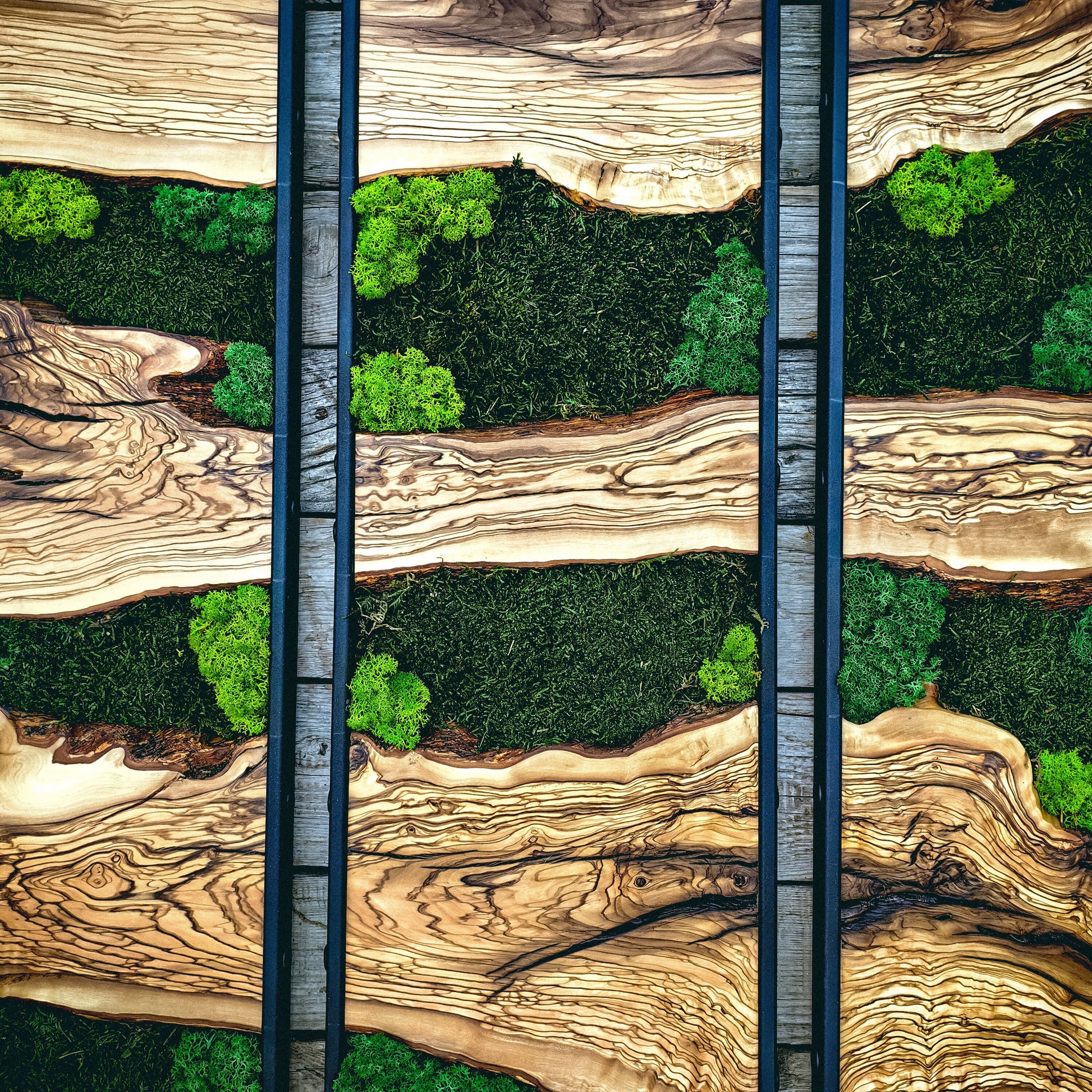 Moss Wall Decor, Moss Art Wall Decor, Olive Wood and Moss Wall Art
