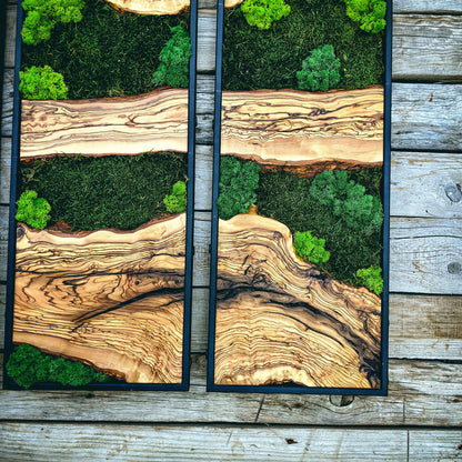 Moss Wall Decor, Moss Art Wall Decor, Olive Wood and Moss Wall Art