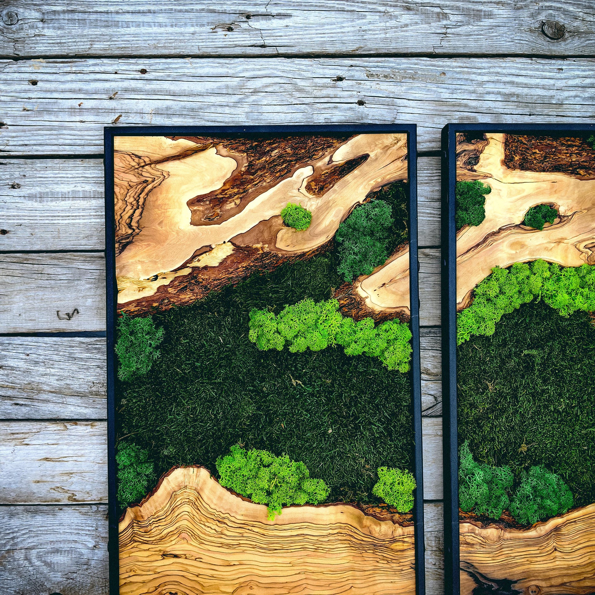 Moss Wall Art - Wood & Moss Wall Decor