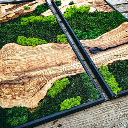 Moss Wall Art - Wood & Moss Wall Decor
