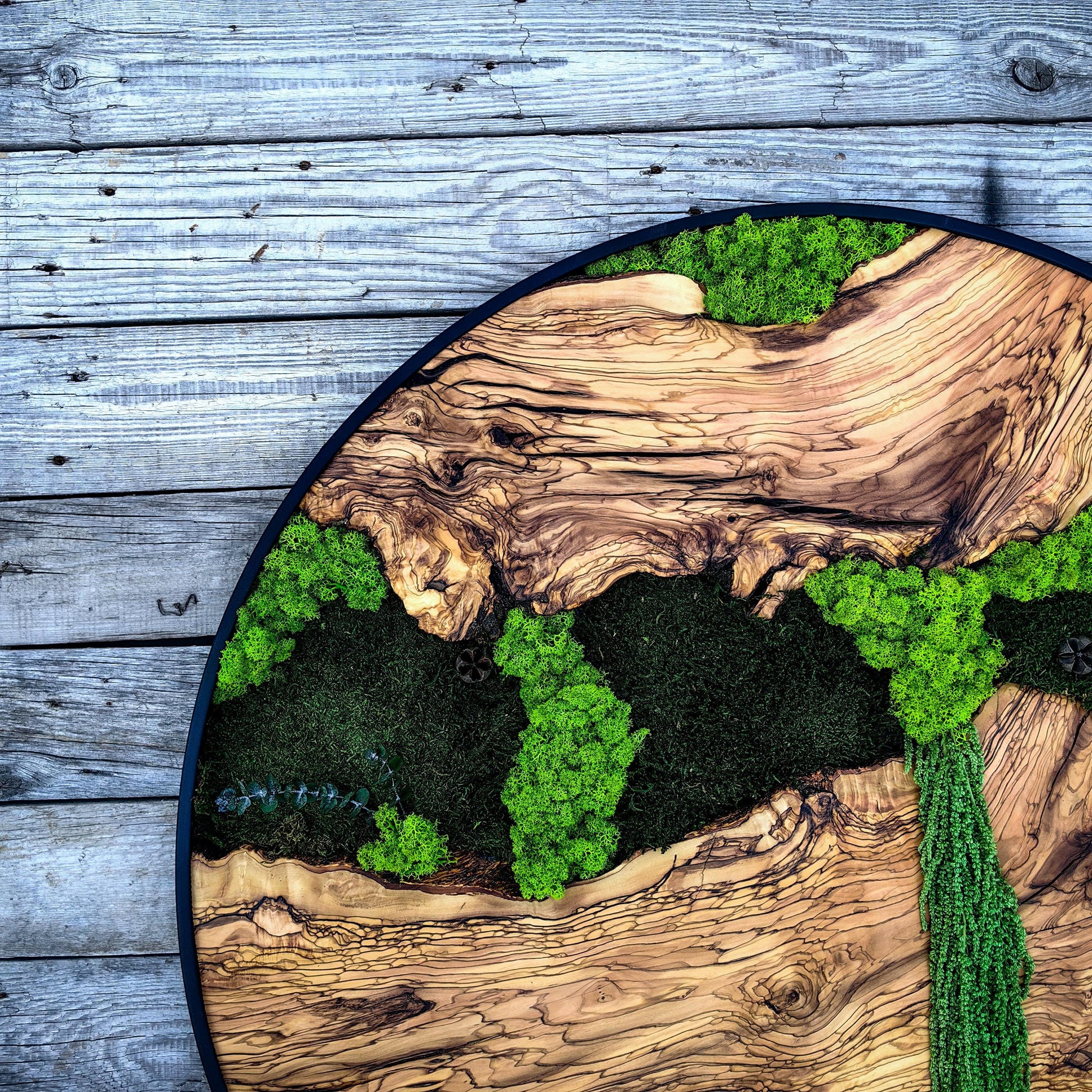 Custom Made Moss and Olive Wood Wall Art, Metal Frame Moss Wall Decor, Olive Wood and Moss Wall Art- Preserved Stabilized Moss Wall Decor