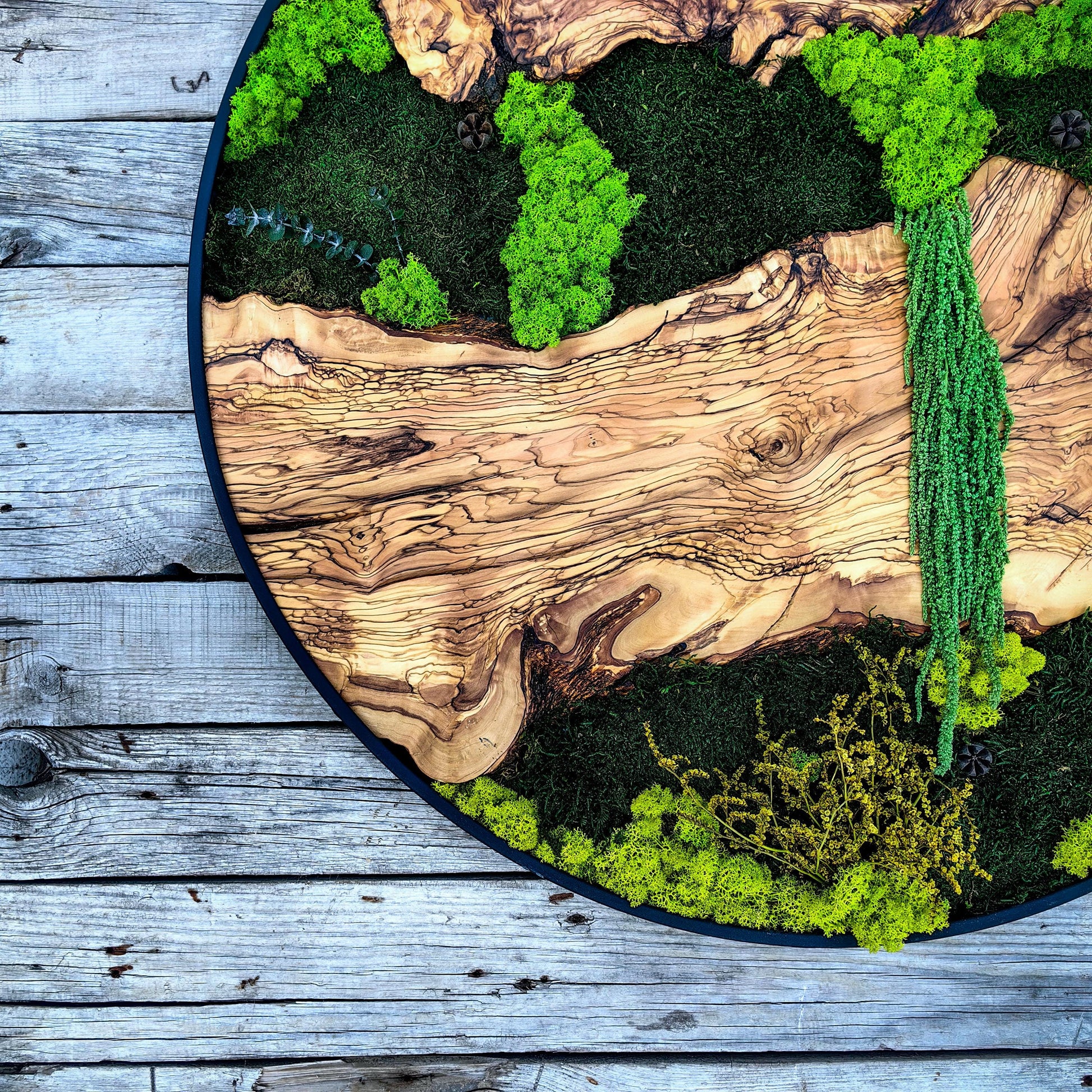 Custom Made Moss and Olive Wood Wall Art, Metal Frame Moss Wall Decor, Olive Wood and Moss Wall Art- Preserved Stabilized Moss Wall Decor