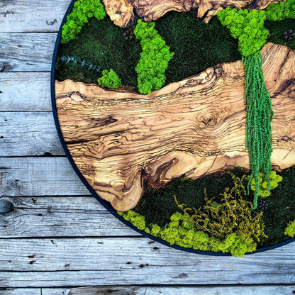 Custom Made Moss and Olive Wood Wall Art, Metal Frame Moss Wall Decor, Olive Wood and Moss Wall Art- Preserved Stabilized Moss Wall Decor